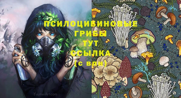 бошки Алексин