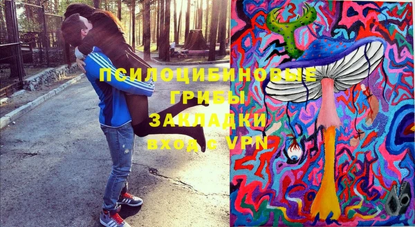 бошки Алексин