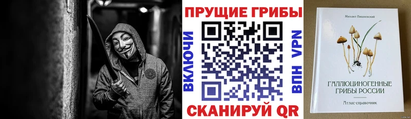 omg зеркало Обнинск Псилоцибиновые грибы прущие грибы где купить наркотик